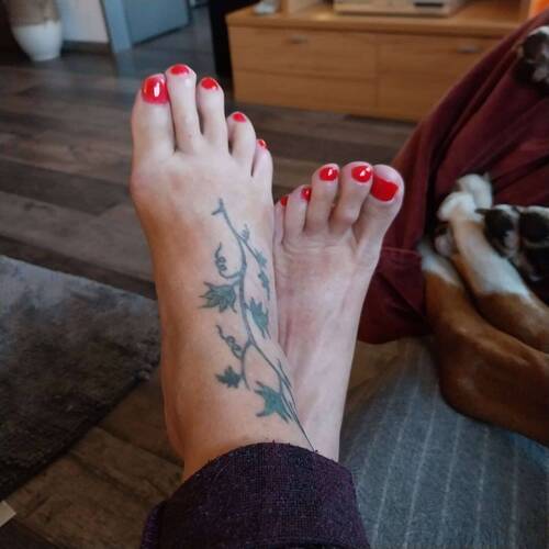 Roter Shellac