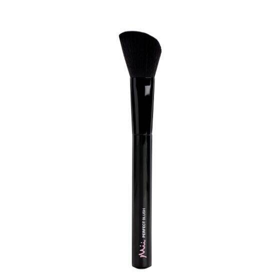 Perfect Blush Brush Boxed