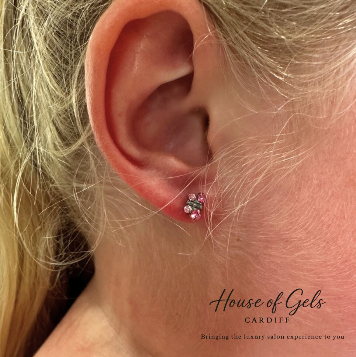 Pink Butterfly’s 🦋