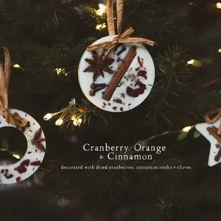 Cranberry, Orange & Cinnamon Tree Decorations/Wax Melts