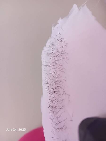 2 days post shave!!!
