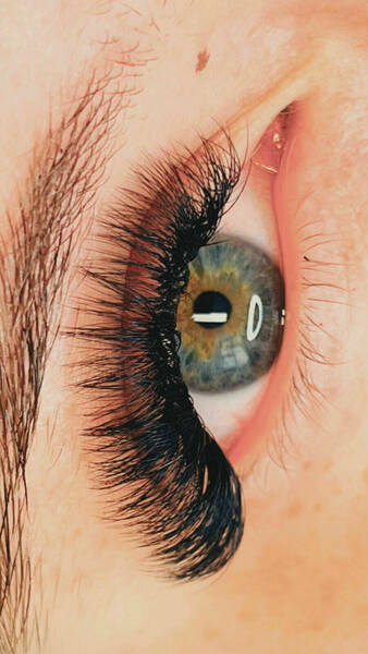 Volume Lashes