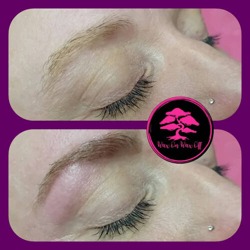 Brow wax and tint 
